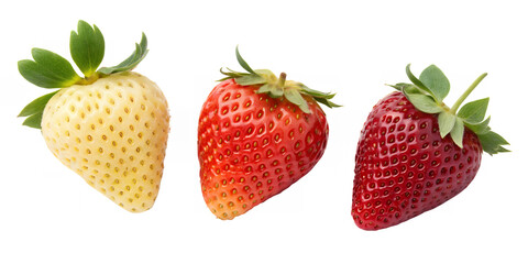 Fresh Strawberry Trio: From Unripe to Fully Ripe - Vibrant Fruit Progression. strawberries, ripe strawberries, unripe strawberries.