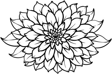 chrysanthemum line art silhouette vector illustration