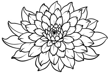 chrysanthemum line art silhouette vector illustration