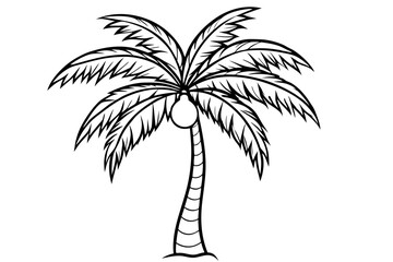 coconut tree line art silhouette vector illustration