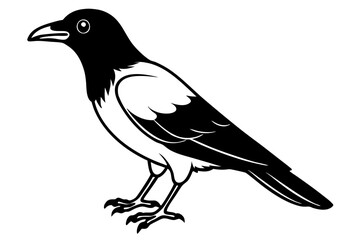 crow line art silhouette vector illustration