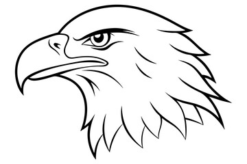 eagle head line art silhouette vector illustration