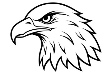 eagle head line art silhouette vector illustration