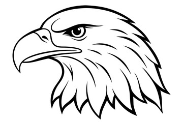 eagle head line art silhouette vector illustration