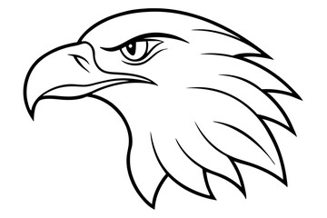 eagle head line art silhouette vector illustration