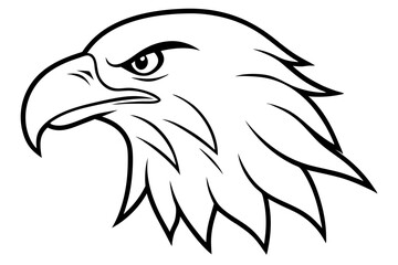 eagle head line art silhouette vector illustration