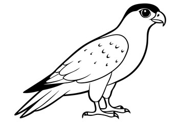 falcon line art silhouette vector illustration