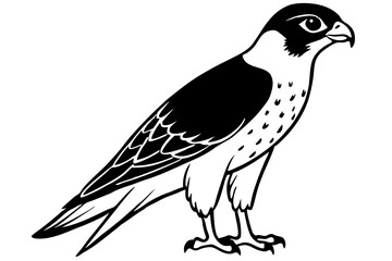Fototapeta premium falcon line art silhouette vector illustration