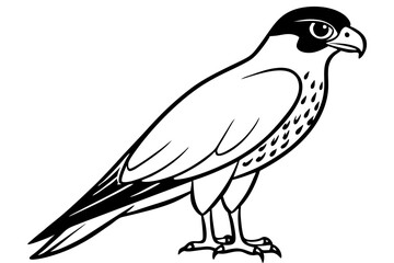 falcon line art silhouette vector illustration