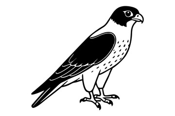 falcon line art silhouette vector illustration