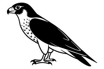 falcon line art silhouette vector illustration