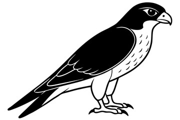 falcon line art silhouette vector illustration