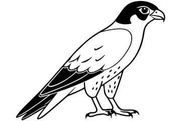 falcon line art silhouette vector illustration