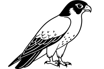 falcon line art silhouette vector illustration