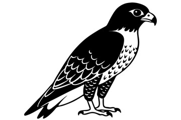Fototapeta premium falcon line art silhouette vector illustration