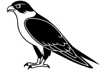 falcon line art silhouette vector illustration
