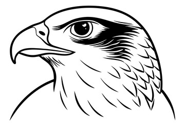 falcon head line art silhouette vector illustration