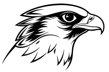 falcon head line art silhouette vector illustration