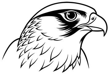 falcon head line art silhouette vector illustration