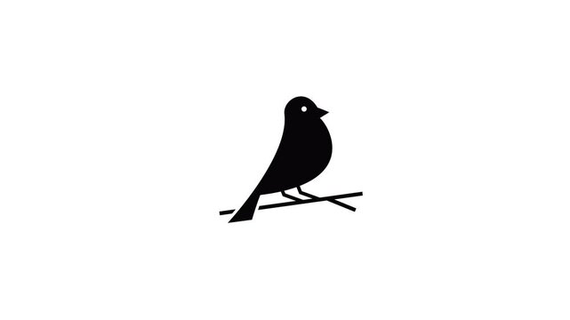 bird symbol animation transition from top to bottom, transition from left to right, slide from top to bottom, slide from left to right