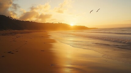 Obraz premium Golden sunset over ocean beach with birds flying.