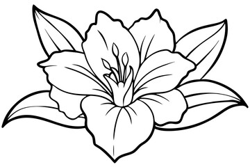 gladiolus flower line art silhouette vector illustration