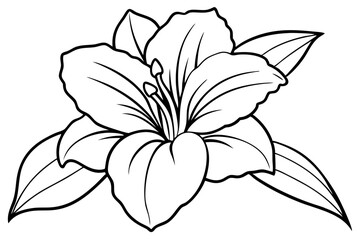 gladiolus flower line art silhouette vector illustration