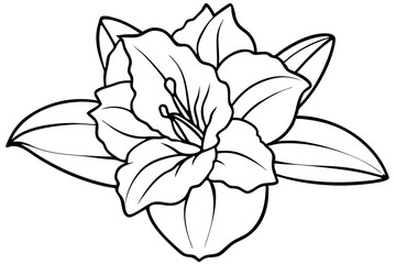 gladiolus flower line art silhouette vector illustration