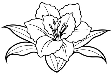 gladiolus flower line art silhouette vector illustration
