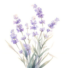 Obraz premium .Illustration of trees, leaves, grass and various botanical elements on a white background.