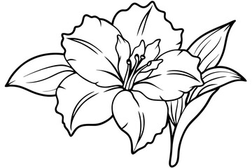 gladiolus flower line art silhouette vector illustration