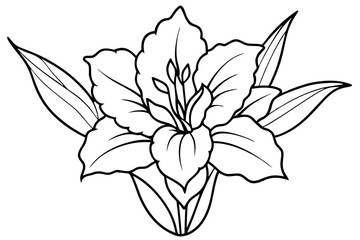 gladiolus flower line art silhouette vector illustration