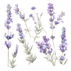 Naklejka premium .Illustration of trees, leaves, grass and various botanical elements on a white background.