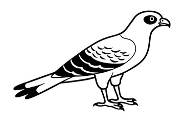 harrier line art silhouette vector illustration