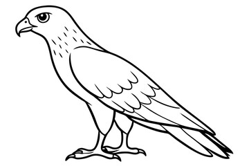 harrier line art silhouette vector illustration
