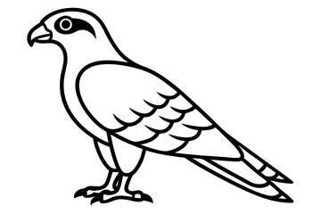 harrier line art silhouette vector illustration