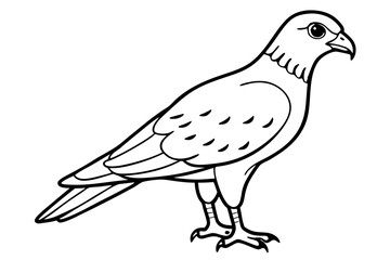 harrier line art silhouette vector illustration