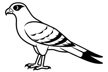 harrier line art silhouette vector illustration