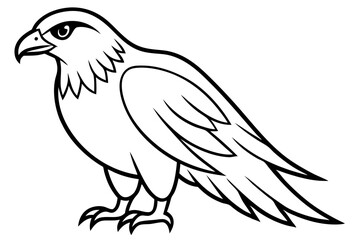 Fototapeta premium hawk line art silhouette vector illustration