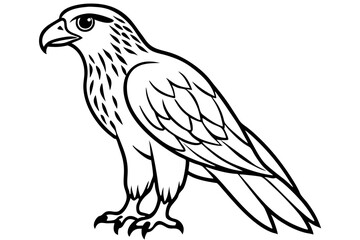 hawk line art silhouette vector illustration