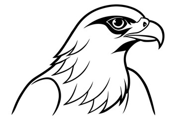 hawk line art silhouette vector illustration