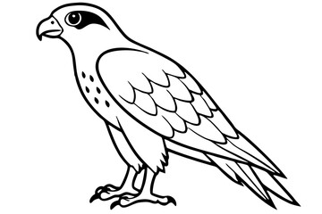 hawk line art silhouette vector illustration