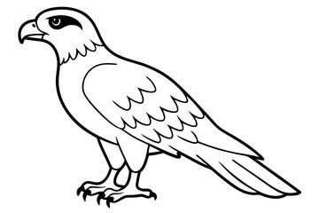 hawk line art silhouette vector illustration