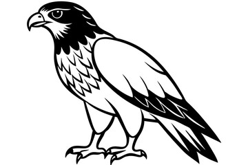 hawk line art silhouette vector illustration