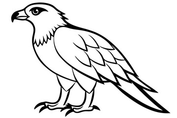 hawk line art silhouette vector illustration