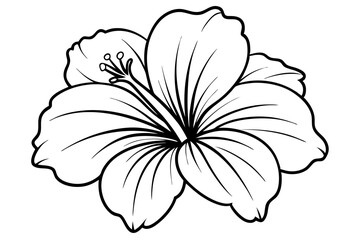 hibiscus line art silhouette vector illustration