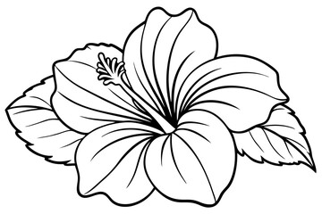 hibiscus line art silhouette vector illustration