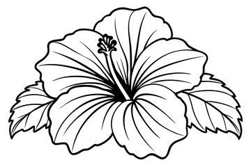 hibiscus line art silhouette vector illustration
