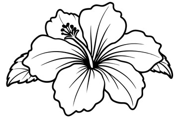 hibiscus line art silhouette vector illustration © Pinak