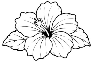 hibiscus line art silhouette vector illustration © Pinak